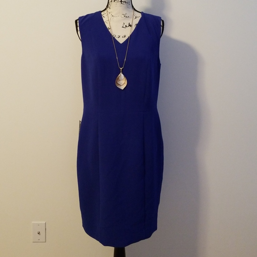 Limited Shift Dress
